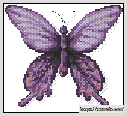 Скачать схемы вышивки нитками / крестом  - A butterfly chitoria ulupi, автор 