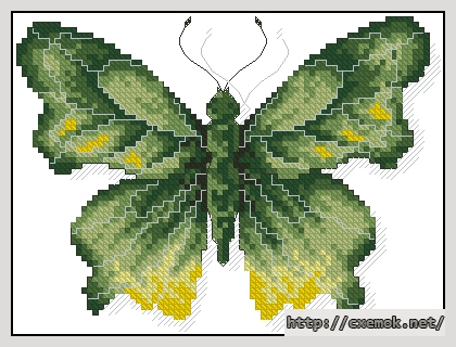 Скачать схемы вышивки нитками / крестом  - A butterfly polygonia c-album, автор 
