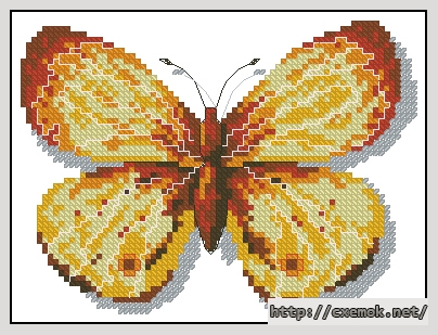 Download embroidery patterns by cross-stitch  - Clossiana perryi, author 