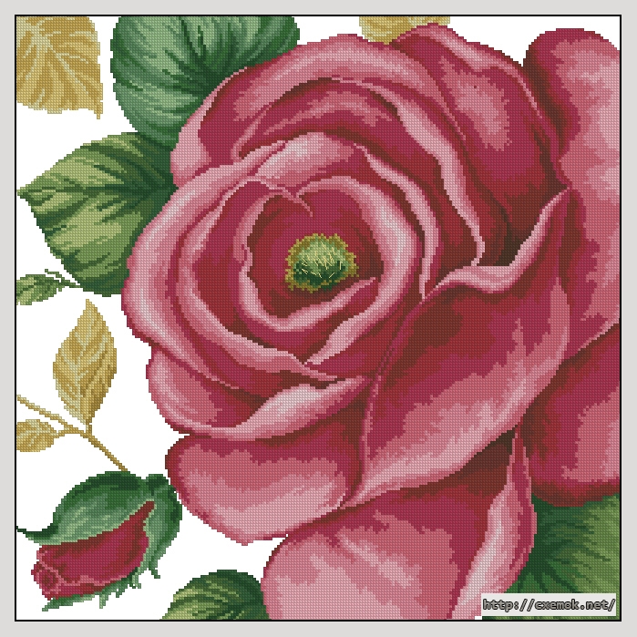 Download embroidery patterns by cross-stitch  - Rose pink, author 