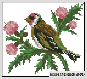 Download embroidery patterns by cross-stitch  - Птица на чертополохе, author 
