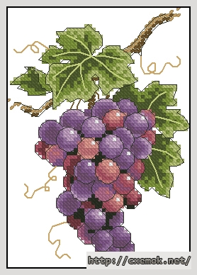 Download embroidery patterns by cross-stitch  - Grapes on vine, author 