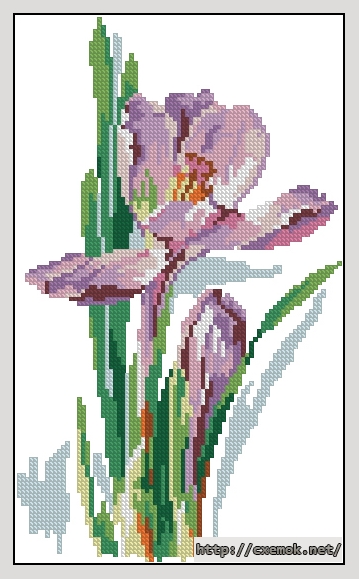 Download embroidery patterns by cross-stitch  - Крокус, author 