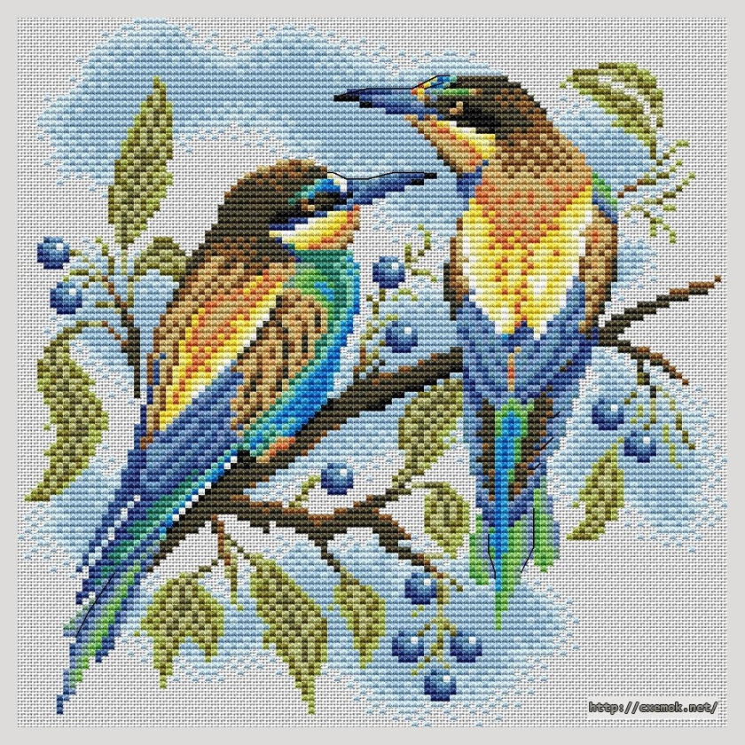 Download embroidery patterns by cross-stitch  - Яркие птички, author 