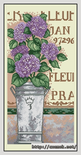 Скачать схемы вышивки нитками / крестом  - Hidrangea floral, автор 