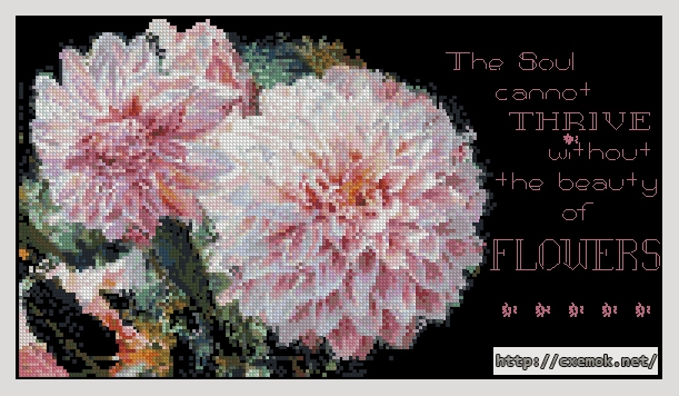 Download embroidery patterns by cross-stitch  - Dahlia sentimens, author 