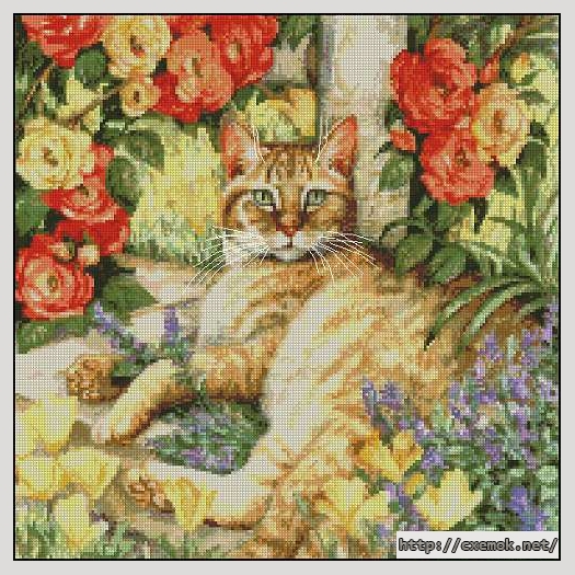 Download embroidery patterns by cross-stitch  - Miss tabby, author 