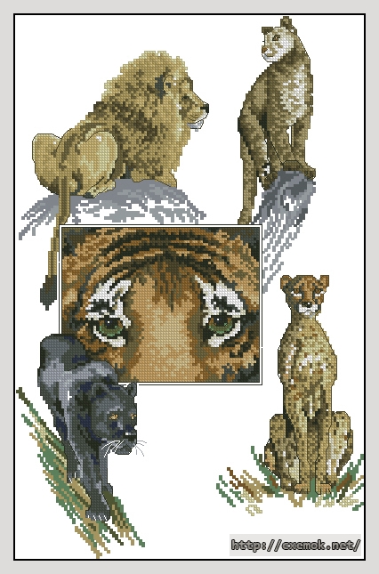 Завантажити схеми вишивки нитками / хрестом  - Eyes of the tiger, автор 