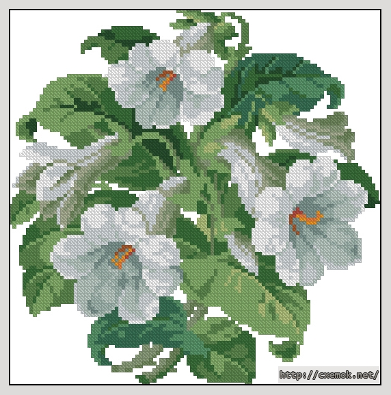 Download embroidery patterns by cross-stitch  - Trumpet flowers, author 
