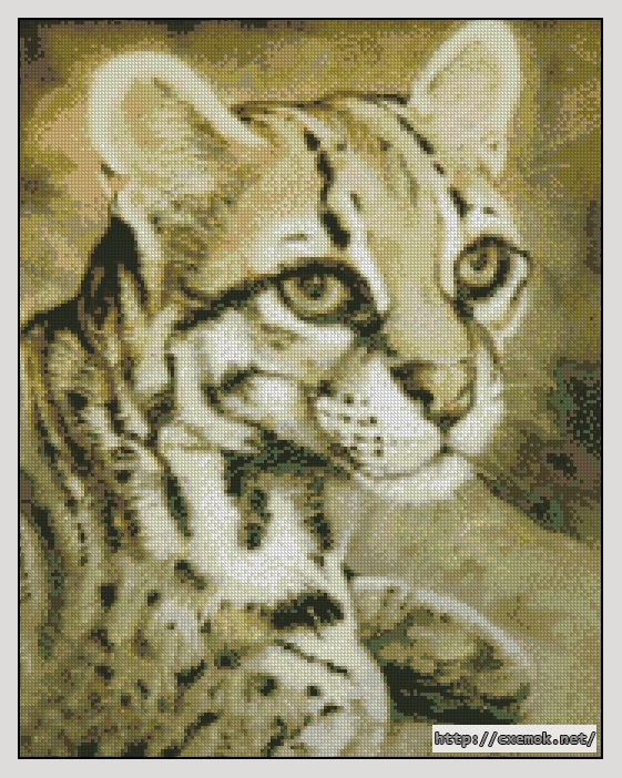 Download embroidery patterns by cross-stitch  - Ocelot, author 