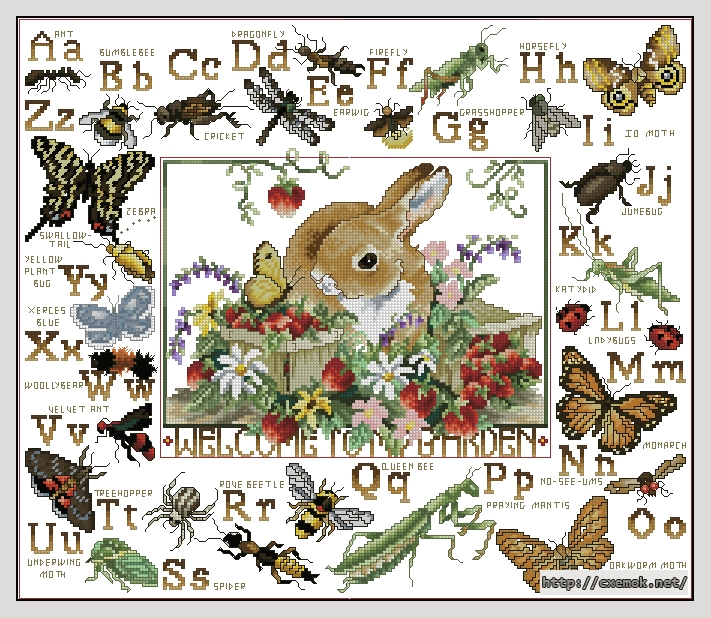 Download embroidery patterns by cross-stitch  - Insect sampler, author 