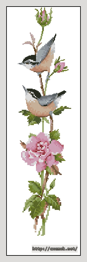 Download embroidery patterns by cross-stitch  - Sonatina rose, author 