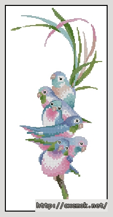 Скачать схемы вышивки нитками / крестом  - Rainbow birds, автор 