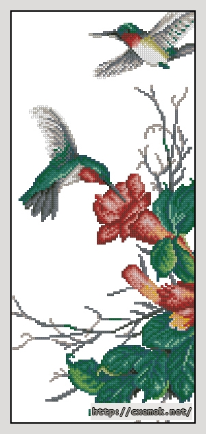 Download embroidery patterns by cross-stitch  - Колибри, author 