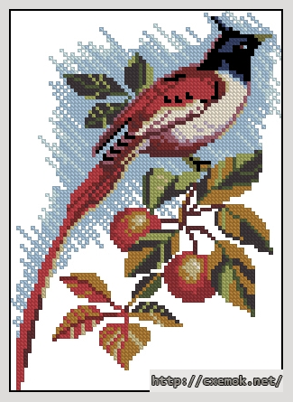 Download embroidery patterns by cross-stitch  - Райская мухоловка, author 