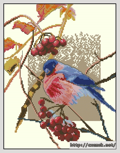 Download embroidery patterns by cross-stitch  - Снегирь, author 