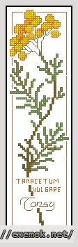 Download embroidery patterns by cross-stitch  - Tansy