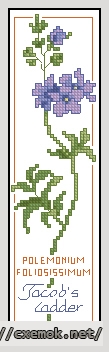 Download embroidery patterns by cross-stitch  - Jacob-s ladder