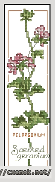 Download embroidery patterns by cross-stitch  - Bookmark geranium