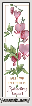 Download embroidery patterns by cross-stitch  - Bleeding heart