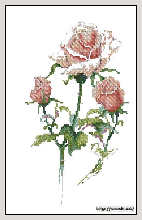Download embroidery patterns by cross-stitch  - Roses i, author 