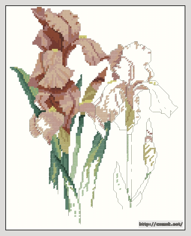 Download embroidery patterns by cross-stitch  - Iris ii, author 