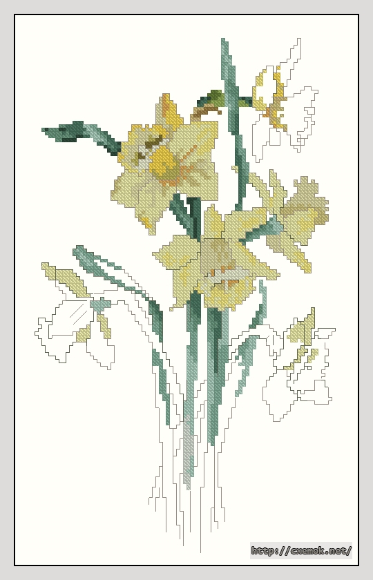 Download embroidery patterns by cross-stitch  - Daffodils, author 