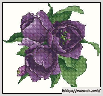 Скачать схемы вышивки нитками / крестом  - Purple tulips, автор 