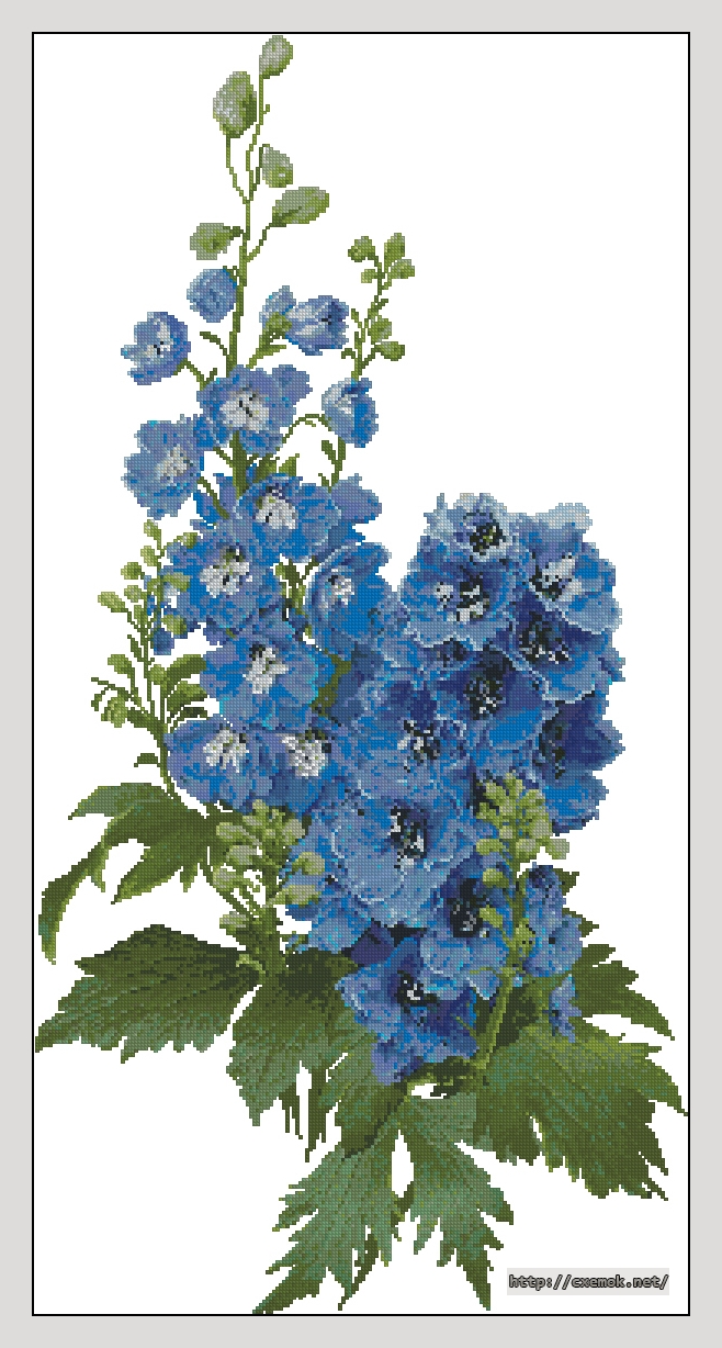 Download embroidery patterns by cross-stitch  - Delphiniums, author 