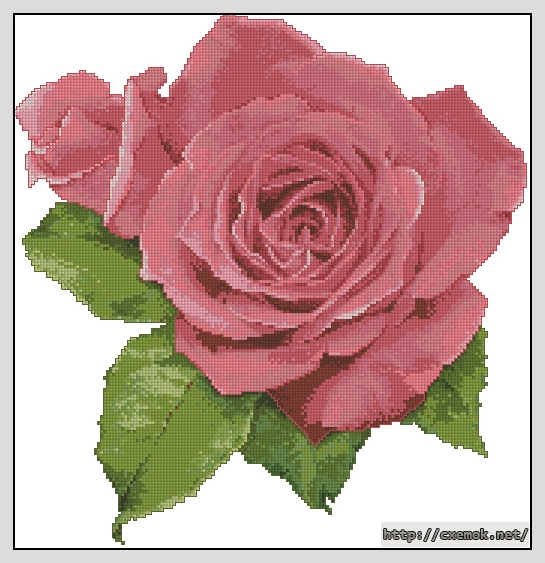 Download embroidery patterns by cross-stitch  - Summer sizzle rose, author 
