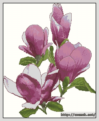Download embroidery patterns by cross-stitch  - Saucer magnolias, author 