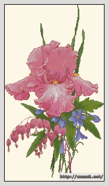 Download embroidery patterns by cross-stitch  - Pink persuasion, author 