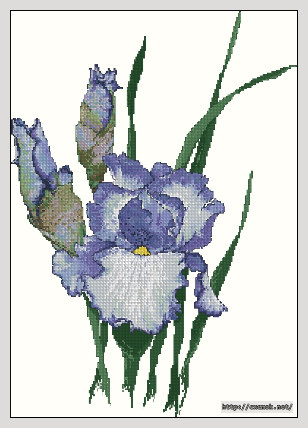 Download embroidery patterns by cross-stitch  - Blue staccato, author 