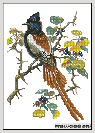 Download embroidery patterns by cross-stitch  - Bird ?, author 