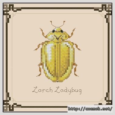Скачать схему вышивки нитками The Larch Ladybug, автор 