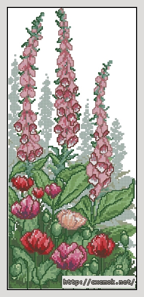 Download embroidery patterns by cross-stitch  - Digitalis, author 