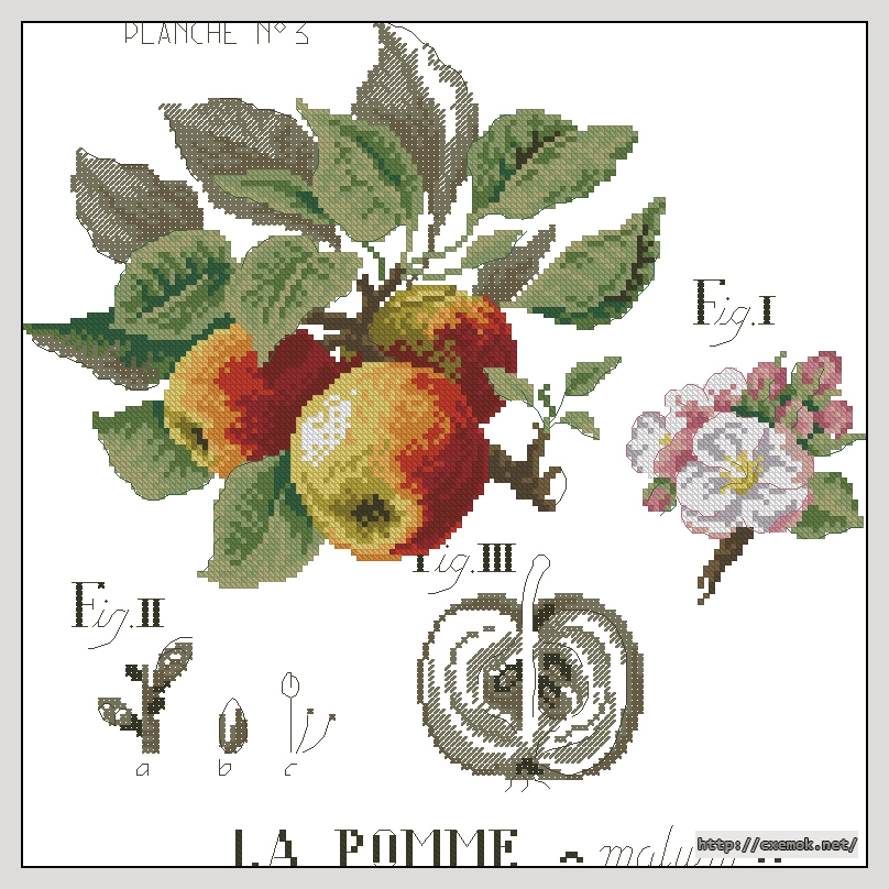 Download embroidery patterns by cross-stitch  - La pomme, author 