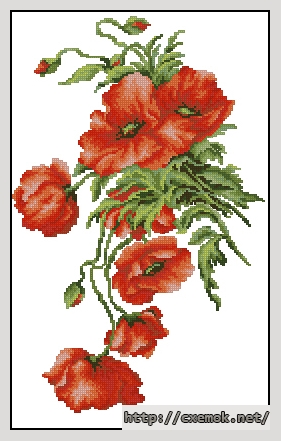 Download embroidery patterns by cross-stitch  - Маки, author 