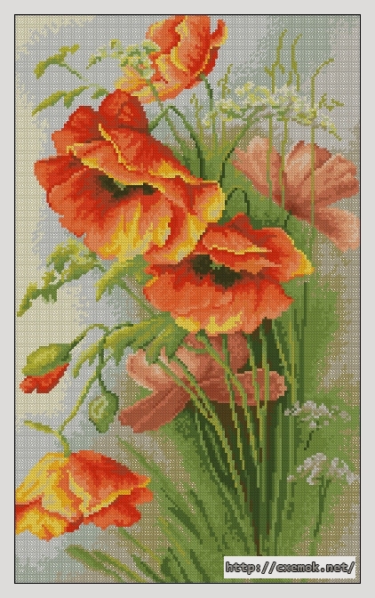Download embroidery patterns by cross-stitch  - Красные маки, author 