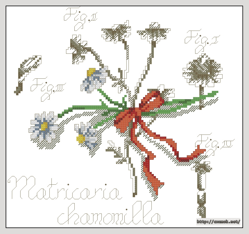 Download embroidery patterns by cross-stitch  - Chamomilla, author 
