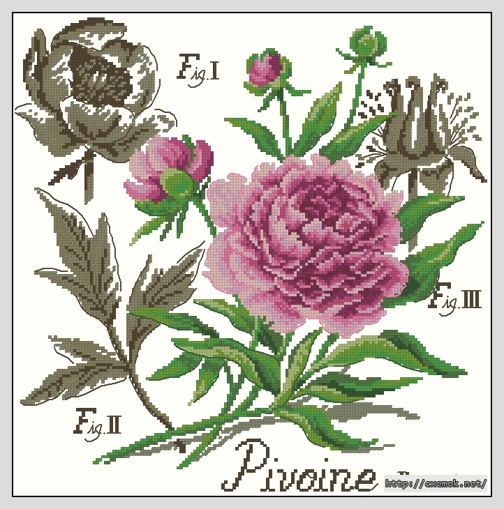 Download embroidery patterns by cross-stitch  - Pivoine, author 