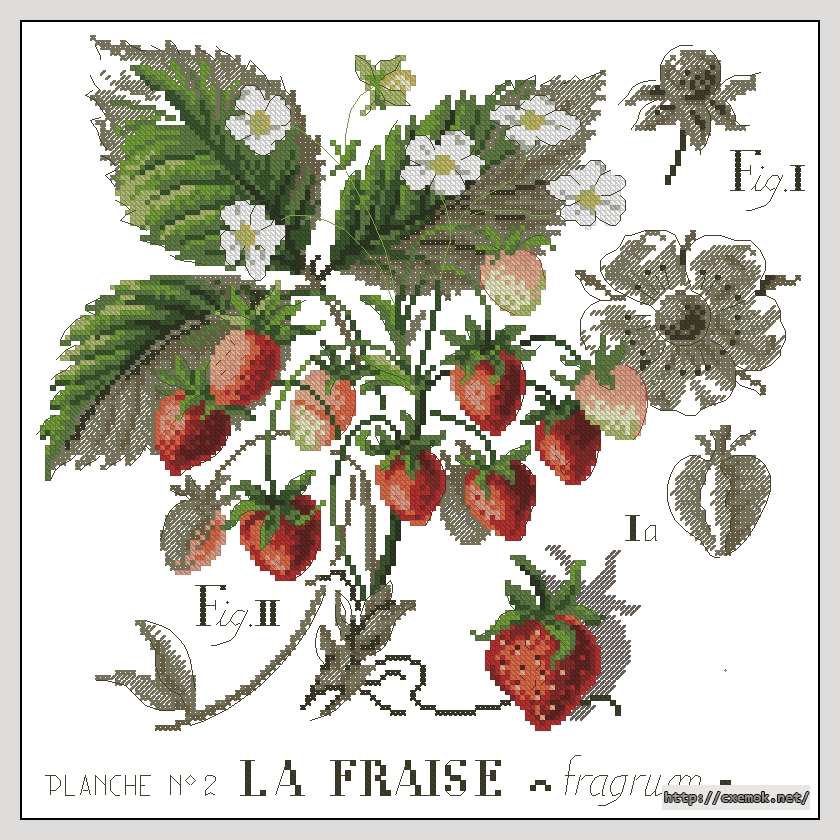 Скачать схемы вышивки нитками / крестом  - La fraise, автор 