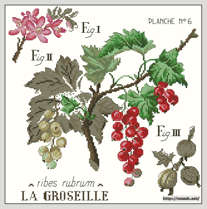 Download embroidery patterns by cross-stitch  - La groseille, author 