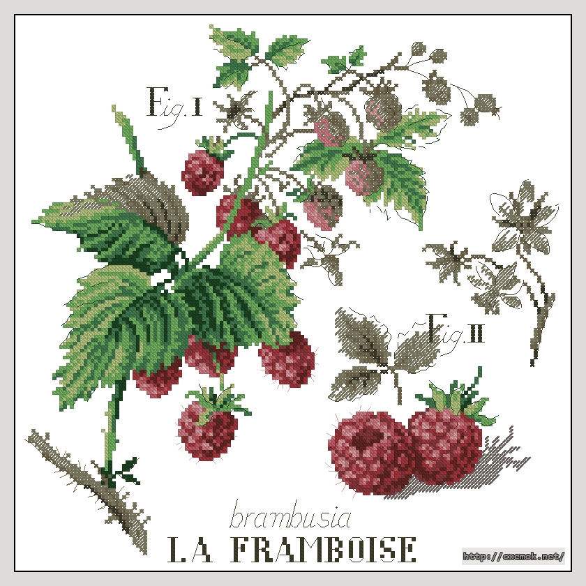 Download embroidery patterns by cross-stitch  - La framboise, author 