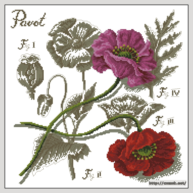 Download embroidery patterns by cross-stitch  - Pavot, author 