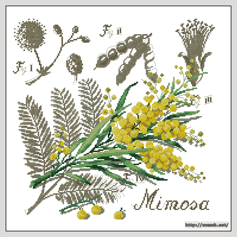 Download embroidery patterns by cross-stitch  - Mimosa, author 