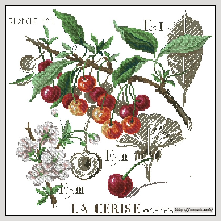 Download embroidery patterns by cross-stitch  - La cerise, author 