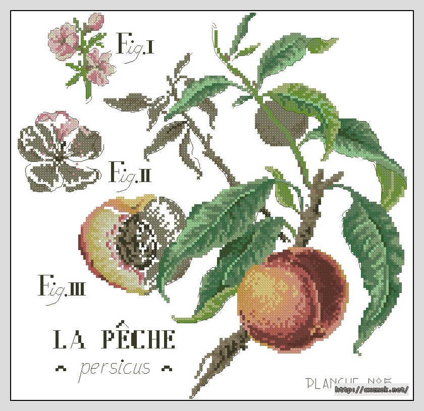 Download embroidery patterns by cross-stitch  - La peche, author 