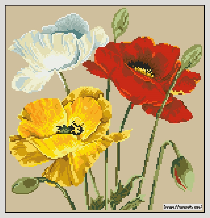 Download embroidery patterns by cross-stitch  - Poppy trio, author 