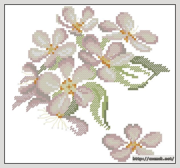 Download embroidery patterns by cross-stitch  - Anemone, author 